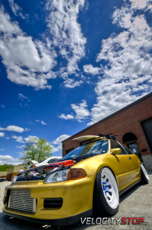 dsc_3863_4_5enhancer